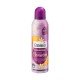 Smells of clementines and sweet vanilla blossoms |