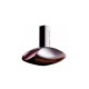 Enjoy The Smell Of An Unforgettable Scent With Calvin Klein