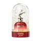Scandal Eau de Parfum X-Mas Edition 2020 by Jean Paul