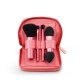 Portable stand and set of 4 professional brushes for the