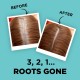 LOreal Paris Magic Retouch Instant Root Concealer Dark