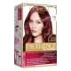 LOreal Paris Excellence Cream Hair Color Grape Red 5 |