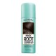 LOreal Paris Magic Root Cover Up Gray Concealer Spray